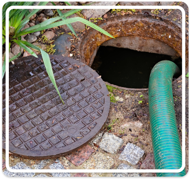 Sewer Service in Seattle, WA