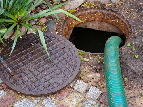 Understanding Sewer Responsibilities: A Guide for Seattle Homeowner